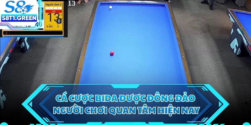 Cá cược bida được đông đảo người chơi quan tâm hiện nay
